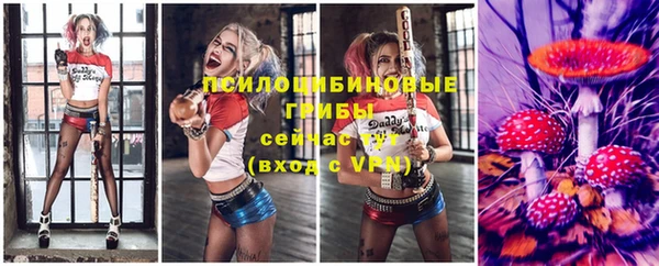 apvp Остров