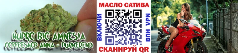 мориарти официальный сайт  Никольск  Дистиллят ТГК Wax 
