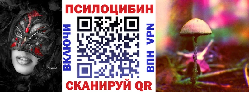 даркнет Telegram  Никольск  Галлюциногенные грибы прущие грибы  hydra онион 