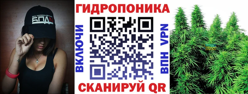 Конопля сатива  наркошоп  Никольск 